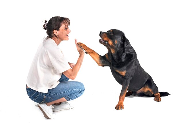 Rottweiler i kobieta