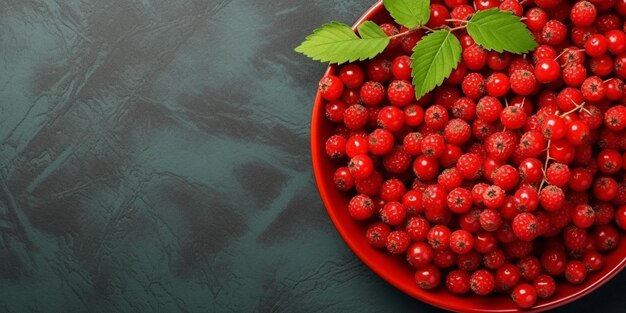 Rowan berry fruit oraganic for healthy food and skin care copy space background Generative AI