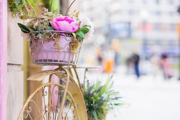 Rower koszyk dekoracja bukiet z kwiatem lato vintage piękne tło