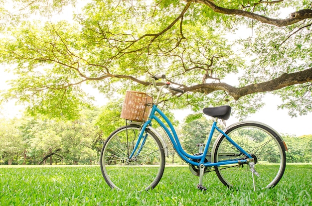 rower w zielonym parku