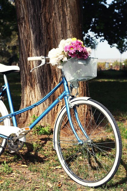 Rower z kwiatami w metalowym koszu na parkowym tle