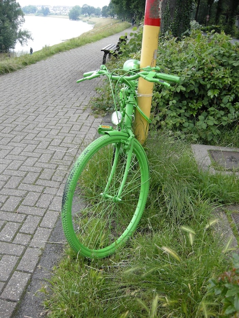 Zdjęcie rower zaparkowany przez słup przez utwardzoną ścieżkę