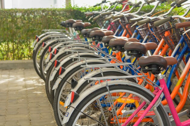 Rowery ustawione w rzędach w parku rowerowym