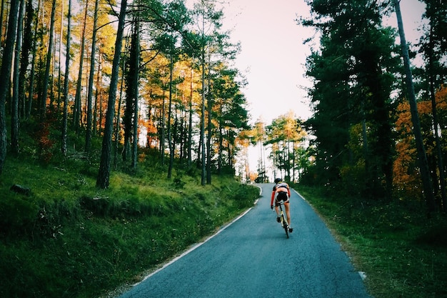 Rowerzysta jeżdżący na rowerze wczesnym rankiem w parku z wieloma wysokimi tr