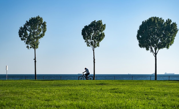 Rowerzysta jeździ po plaży z zielonymi drzewami i trawnikiem na tle błękitnego morza w słoneczny letni dzień na wybrzeżu Morza Czarnego