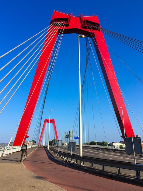 Rowerzysta przekraczający most Willemsbrug łączący rzekę Nieuwe Maas w Rotterdamie Holandia Pylony czerwonego mostu i kable przeciw błękitne niebo