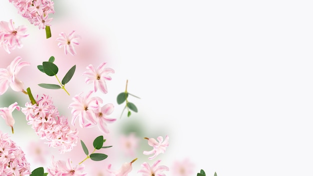 Różany hiacynt wiosenne kwiaty i zielone liście latające w powietrzu na szarym tle Koncepcja lewitacji Pływające płatki Pocztówka ze ślubem dzień kobiet dzień matki Kopiuj spase