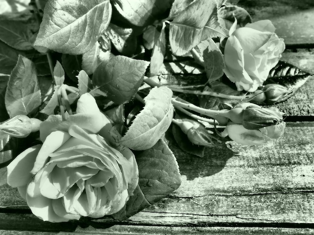 Róże na drewnianym stole Pocztówka z szarozielonym filtrem monochromatycznym Wyrażenie żalu Kopiowanie miejsca