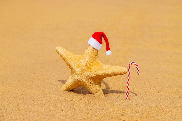 Rozgwiazda święty Mikołaj Na Plaży Z Trzciny Cukrowej