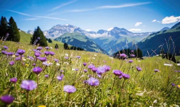 Rozległa alpejska łąka usiana żywymi dzikimi kwiatami z majestatycznymi ośnieżonymi górami w tle Spokojny i malowniczy krajobraz naturalny Utworzono przy użyciu generatywnych narzędzi AI