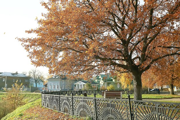 rozmazane jesienne tło park / żółta tapeta, jesienny las, koncepcja krajobrazu sezonowego, gałęzie drzew, liście