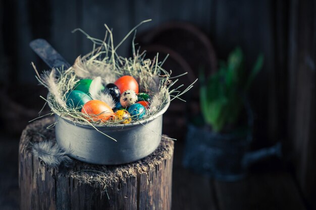 Różne jajka na Wielkanoc w gnieździe z sianem