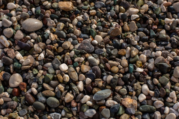 Różne kamienie na plaży