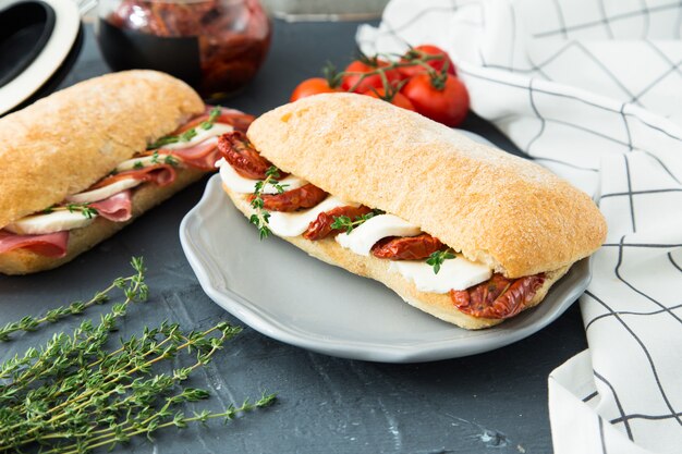 Różne Kanapki. Sandwich Caprese Z Mozzarellą I Suszonymi Pomidorami Oraz Ciabatta Z Szynką
