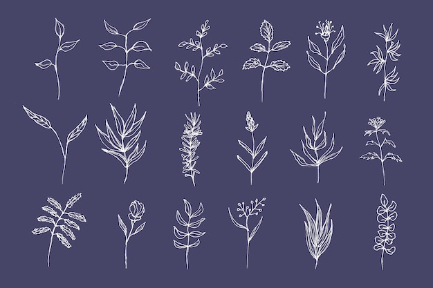 Zdjęcie różne kwiaty i liście doodle ręcznie narysowany biały zbiór kwiatów na ciemno niebieskim tle zestaw delikatnych roślin