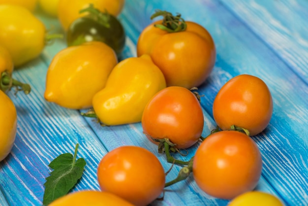 Różne rodzaje pomidorów na targu Ekologiczne zielone, czerwone, żółte, pomarańczowe pomidory Zbiór pomidorów mix