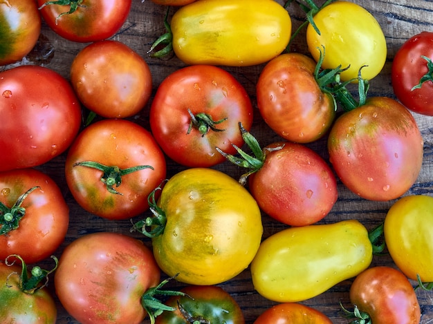 Różne soczyste pomidory.