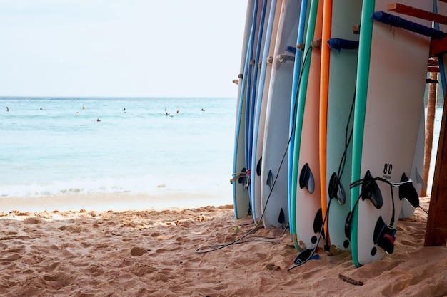 Różne Surf Board na tle oceanu Sand Beach