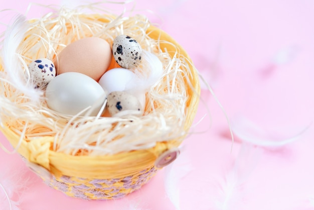 Różni kolorów Easter jajka, przepiórek jajka i biali piórka na pastelowych różowych tle, odgórny widok. Koncepcja świąt wielkanocnych. Ścieśniać.