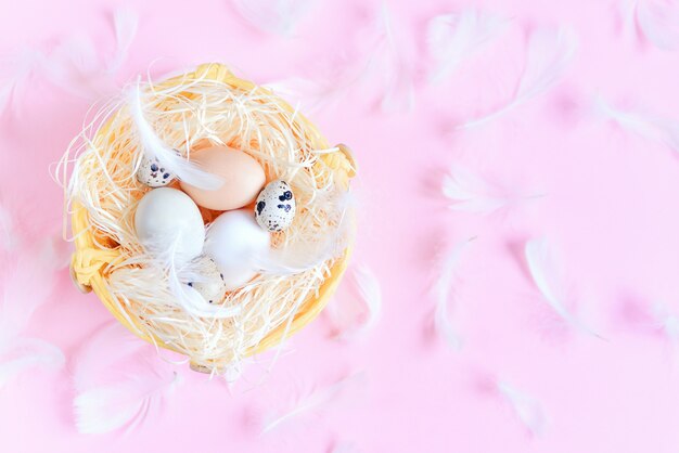 Różni kolory Easter jajka, przepiórek jajka i białe piórka na pastelowym różowym tle, odgórny widok, mieszkanie nieatutowy. Koncepcja świąt wielkanocnych.