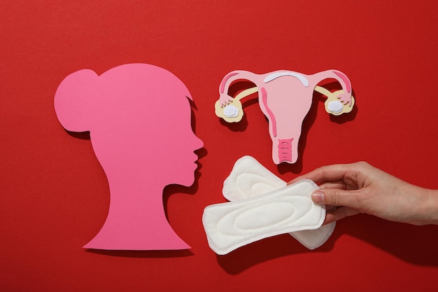 Różowa kobieca sylwetka w profilu z produktami do higieny menstruacyjnej