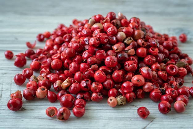 Różowa lub różowa brazylijska czerwona papryka schinus terebinthifolius