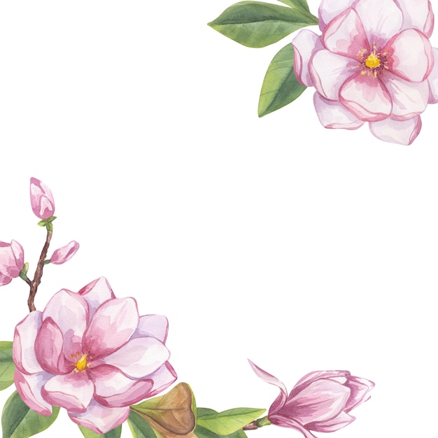 Różowa magnolia ramka miejsce dla tekstu Odgałęzienie pąki kwiatowe liście białe motyle Kwitnący kwiatowy klipart Ręcznie narysowana akwarela ilustracja izolowane tło Element botaniczny na ślub