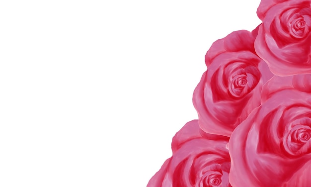 Różowa róża farba akwarelowa z białym tłem przestrzeni