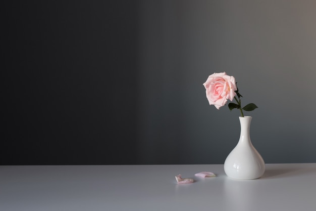 Różowa róża w białym wazonie na szarym tle