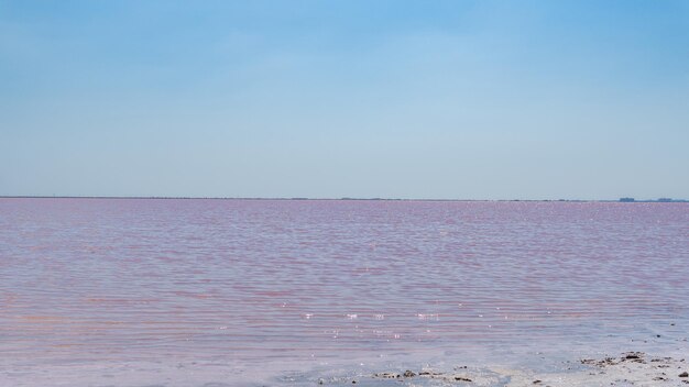 Różowa sól morska krajobrazowa sól stworzona z mikroskopijnych jednokomórkowych wydzielin alg