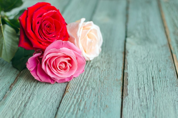 Różowe I Purpurowe Róże Z Serca Tłem.