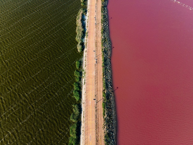 Różowe jezioro sasik sivash przedzielone drogą latem