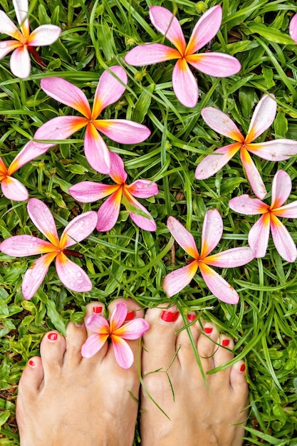 Różowe kwiaty frangipani na zielonej trawie z bosymi stopami kobiety