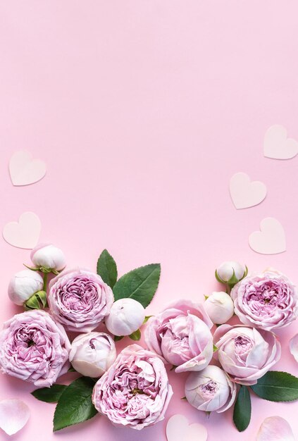 Zdjęcie różowe kwiaty na pastelowo-różowym tle