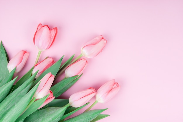 Różowe kwiaty tulipanów na różowym stole