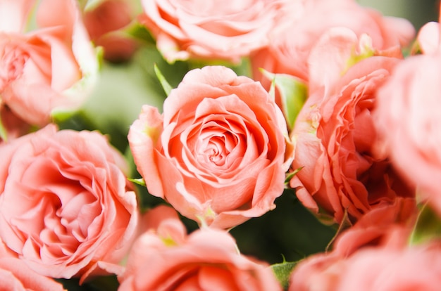 Różowe Małe Róże W Bukiecie. Tło Kwiatowy