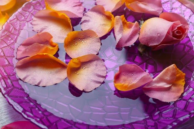Różowe płatki róż w fioletowej misce z wodą z bliska