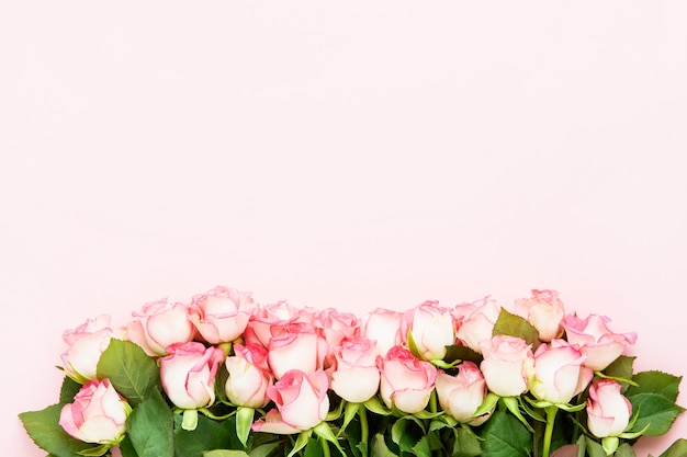 Różowe róże kwiaty graniczą na różowym tle. Walentynki, dzień matki i obchody urodzin