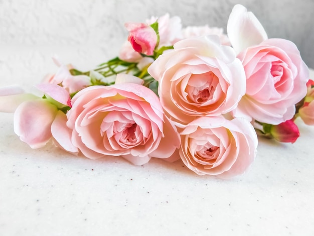 Różowe róże na białym tle Idealne do kart okolicznościowych i zaproszeń w tle
