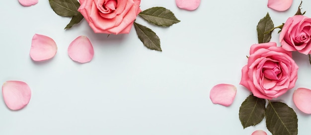 Różowe róże na niebieskim tle. Piękna kompozycja kwiatowa do projektowania, format banera.