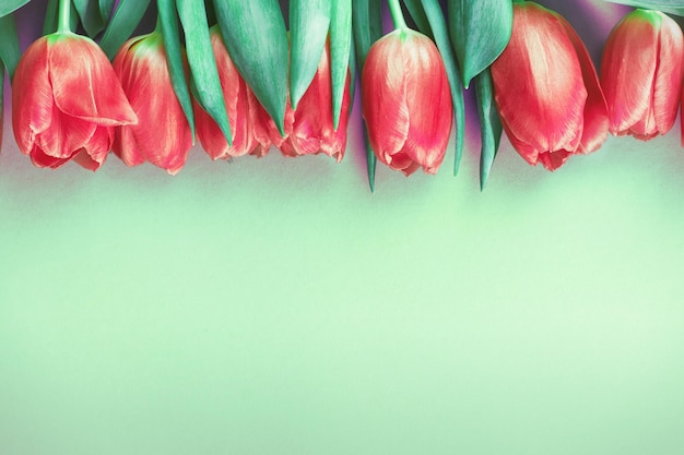 Różowe świeże kwiaty tulipanów tło z miejsca na kopię Romantyczna kompozycja Płaski widok z góry świeckich