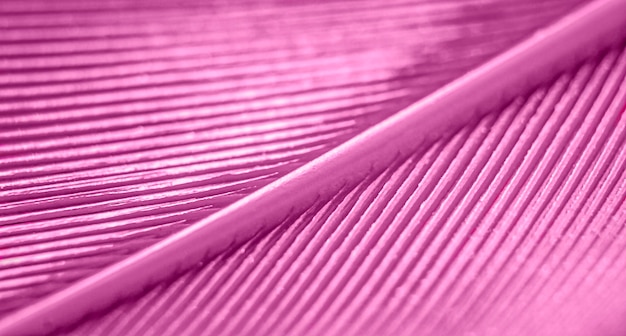 Różowe teksturowane tło z piór w makro