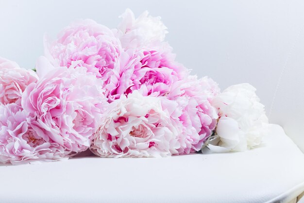 Różowe tło kwiatowy ze świeżymi różowymi kwiatami piwonii na białym
