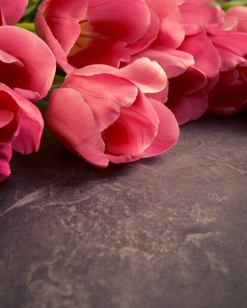 Różowe tulipany na ciemnym szarym tle grunge. Copyspace.