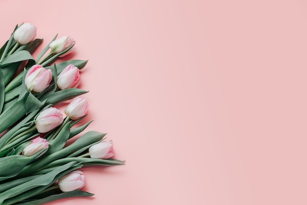 Różowe Tulipany Na Różowym Tle, Dzień Kobiet I Dzień Matki Kartkę Z życzeniami