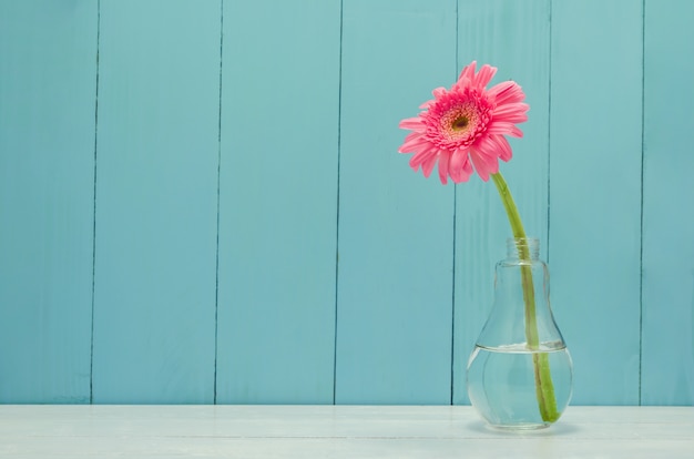 Różowy Gerbera stokrotka kwiat w żarówki szklanej wazie