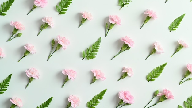 Różowy goździk i liście paproci na białym tle Wiosną kwiatowe tło wzory kwiaty kwitnące na tapetę