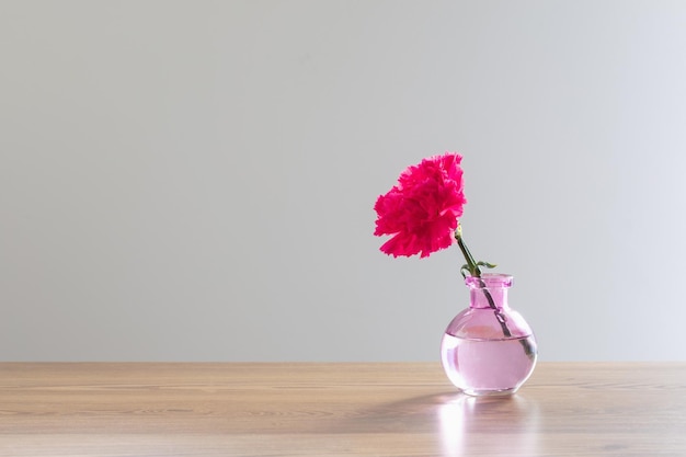 Zdjęcie różowy goździk w szklanym wazonie na białym tle