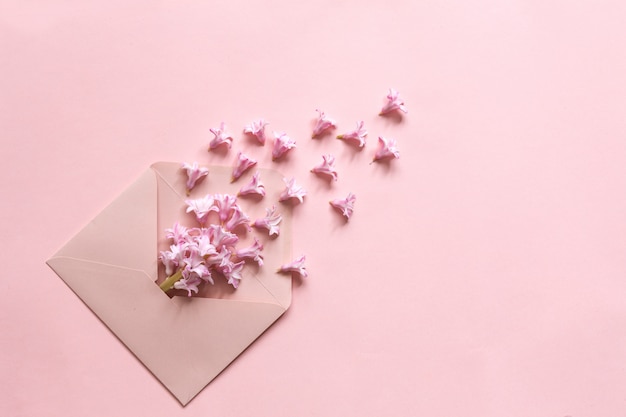Różowy hiacynt w różowej kopercie na papierowym tle