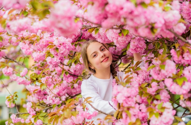 Różowy jest moim ulubionym Mała dziewczynka cieszy się wiosną Dzieciak na różowych kwiatach drzewa sakura w tle Dzieciak cieszy się różowym kwiatem wiśni Delikatny rozkwit Różowy to najbardziej dziewczęcy kolor Jasny i żywy